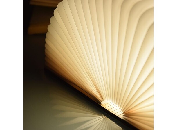 LED Boklampe LED Book Light