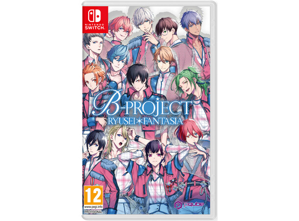 B Project Switch