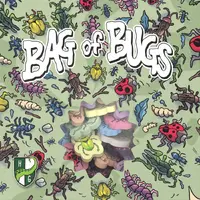 Bag of Bugs Brettspill 
