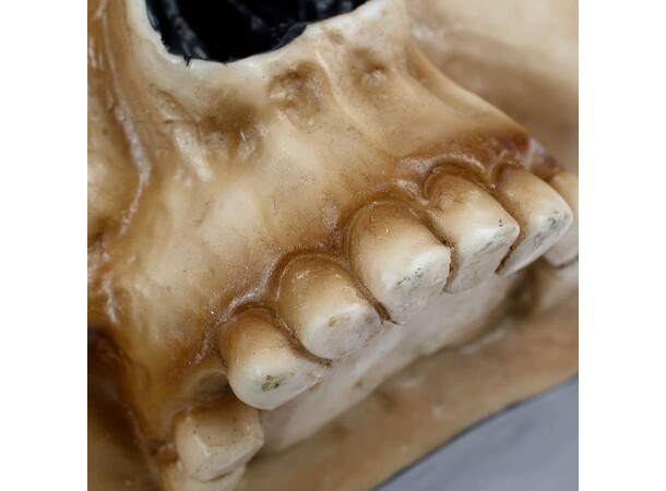 Servo Skull Mug Warhammer 40K 