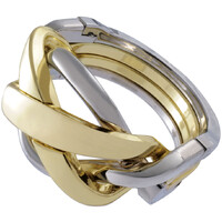 Cast Puzzle 4/6 Ring Hjärngympa i metall Svårighetsgrad 4/6