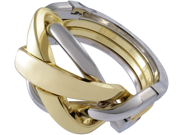 Cast Puzzle 4/6 Ring Hjärngympa i metall Svårighetsgrad 4/6 