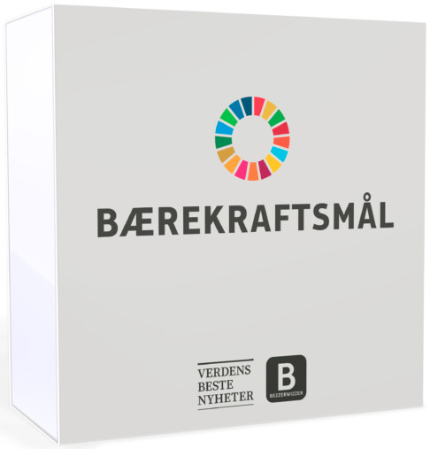 Bezzerwizzer Bærekraftsmål Bezzerwizzer Bricks