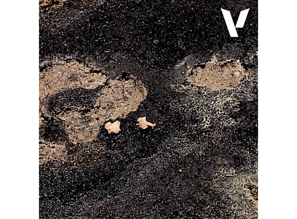 Vallejo Texture Black Lava Asphalt 200ml Earth Texture Acrylic 