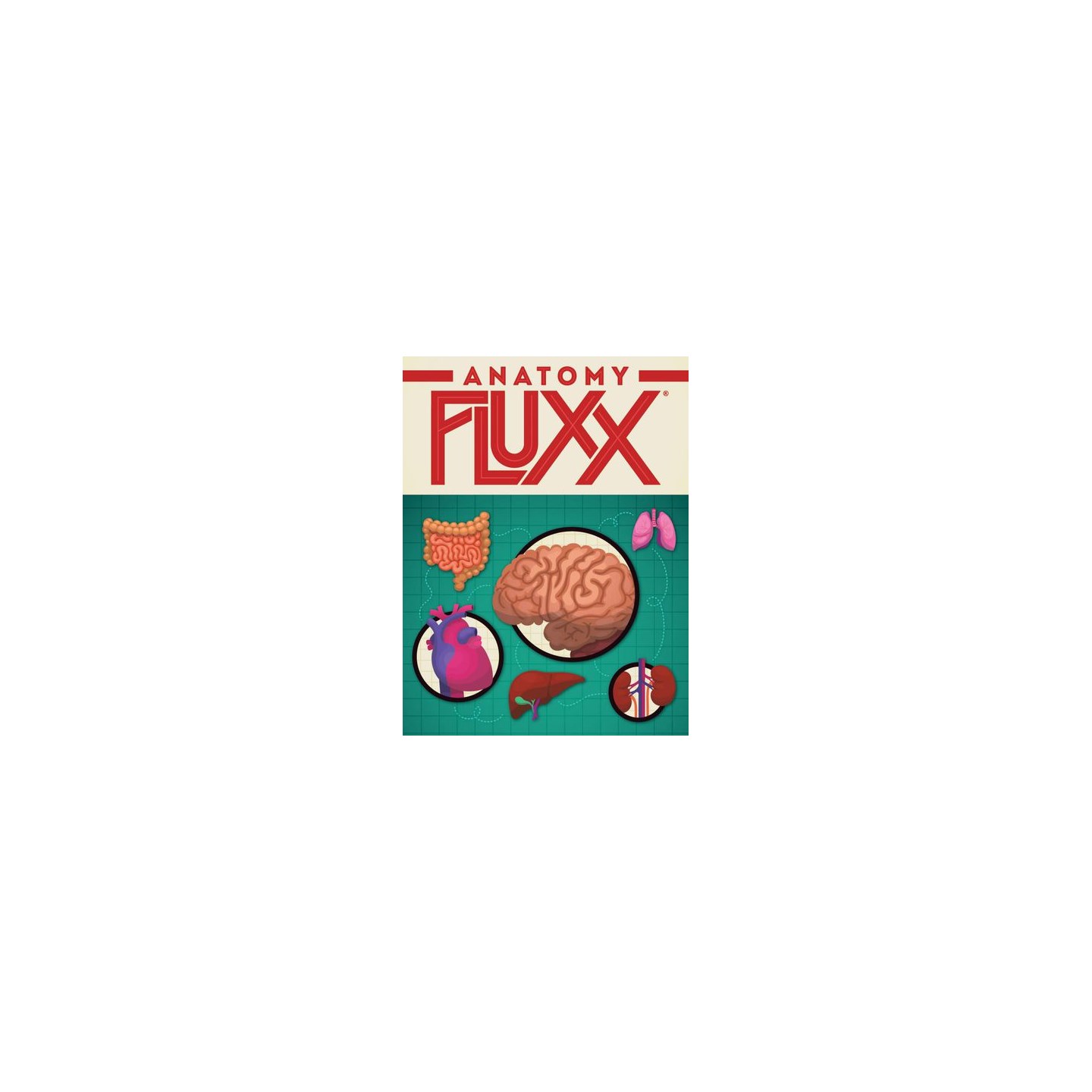 Fluxx Anatomy Kortspill