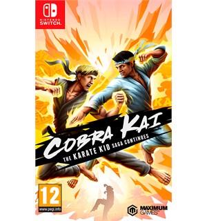 Cobra Kai Switch The  Karate Kid Saga Continues 