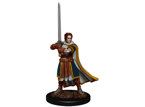 D&D Figur Icons Human Cleric Male Icons of the Realm Premium Figures