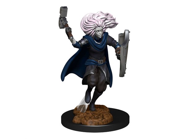 D&D Figur Nolzur Changeling Cleric Femal Nolzur's Marvelous Miniatures 