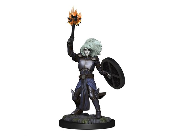 D&D Figur Nolzur Changeling Cleric Femal Nolzur's Marvelous Miniatures 