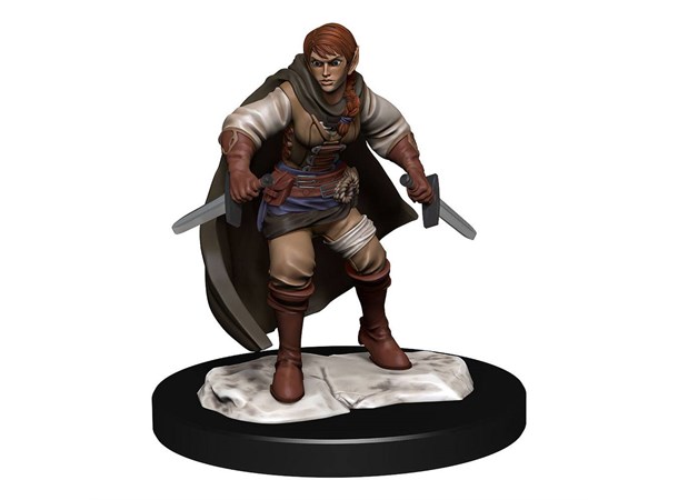 D&D Figur Nolzur Half-Elf Rogue Female Nolzur's Marvelous Miniatures 