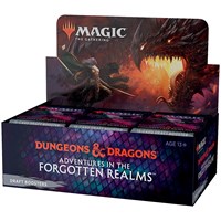 Magic Forgotten Realms Draft Display 
