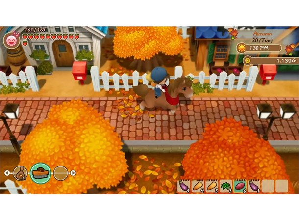 Story of Seasons Mineral Town PS4 Friends of Mineral Town