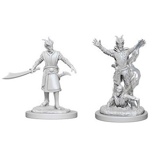 D&D Figur Nolzur Tiefling Warlock Male Nolzur's Marvelous Miniatures - Umalt 