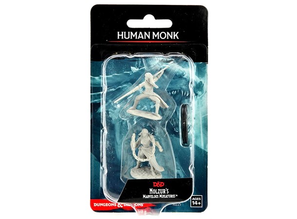 D&D Figur Nolzur Human Monk Female Nolzur's Marvelous Miniatures