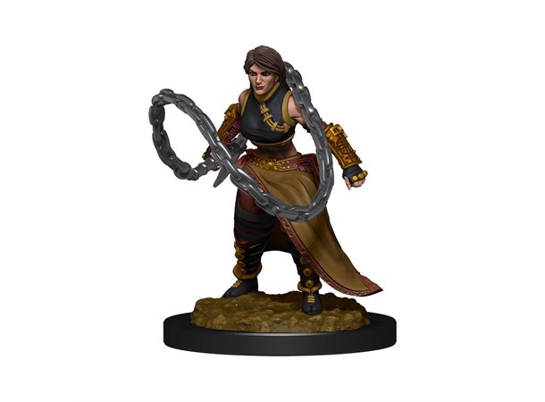 D&D Figur Nolzur Human Monk Female Nolzur's Marvelous Miniatures 