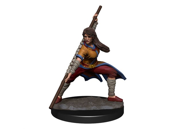 D&D Figur Nolzur Human Monk Female Nolzur's Marvelous Miniatures 