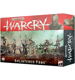 Warcry Warband The Splintered Fang Warhammer Age of Sigmar 