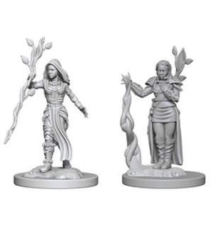 D&D Figur Nolzur Human Druid Female Nolzur's Marvelous Miniatures - Umalt 