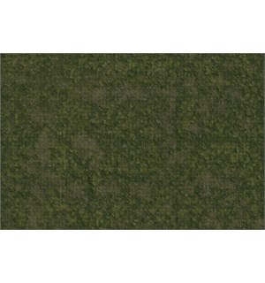 D&D Maps Icons Grasslands - 91x152 cm Icons of the Realms Battle Map 