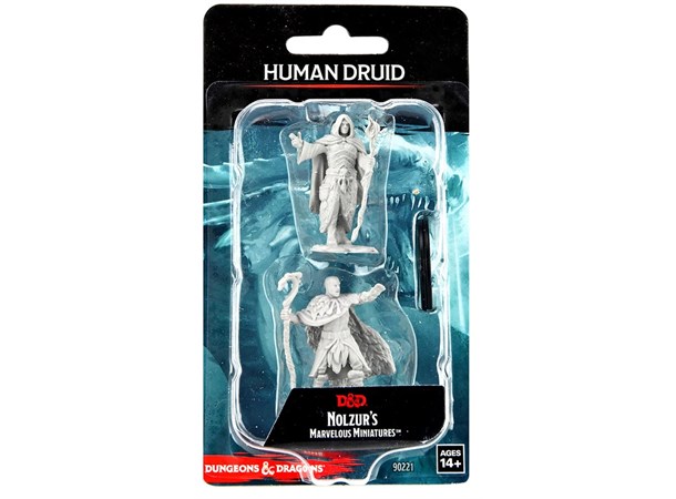 D&D Figur Nolzur Human Druid Male Nolzur's Marvelous Miniatures 