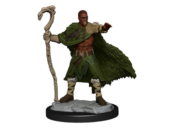 D&D Figur Nolzur Human Druid Male Nolzur's Marvelous Miniatures 