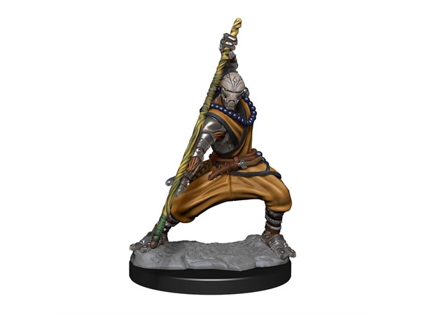 D&D Figur Nolzur Warforged Monk Nolzur's Marvelous Miniatures - Ej målad 