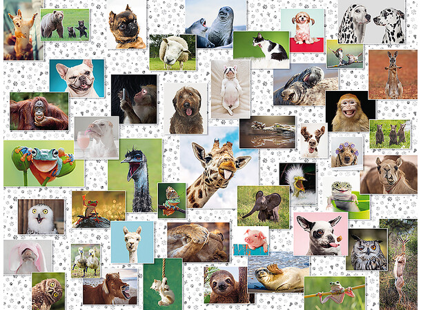 Funny Animals Collage 1500 biter Puslespill - Ravensburger Puzzle