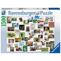 Morsomme Dyr 1500 biter Puslespill Ravensburger Puzzle