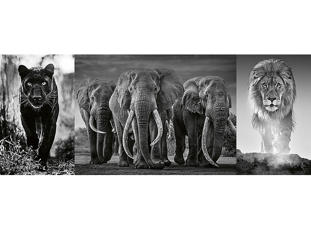 Panter Elephant Lion 1000 biter Puslespill - Ravensburger Puzzle