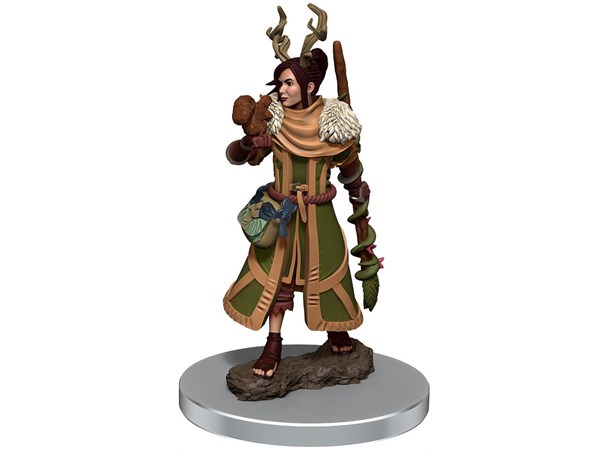 D&D Figur Icons Human Druid Female Icons of the Realm Premium Figures