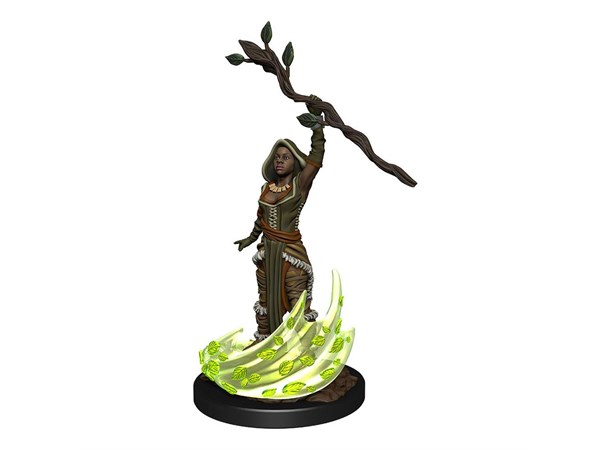 D&D Figur Nolzur Human Druid Female Nolzur's Marvelous Miniatures 