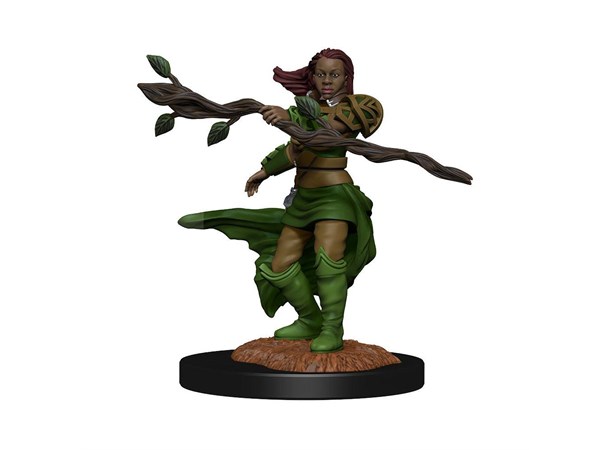 D&D Figur Nolzur Human Druid Female Nolzur's Marvelous Miniatures 
