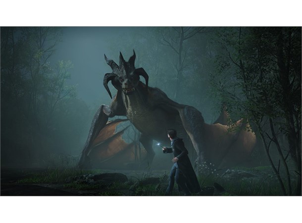 Hogwarts Legacy PS4 