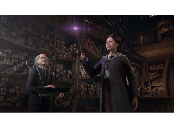Hogwarts Legacy PS4 