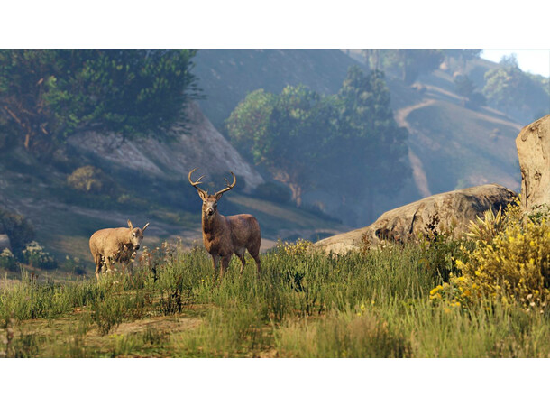 Grand Theft Auto 5 Premium Edition PS4 GTA 5/GTA V med GTA Online innhold 