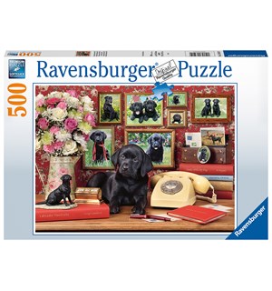 Labradorer 500 biter Puslespill Ravensburger Puzzle 