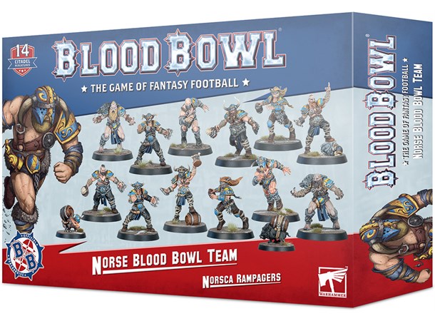 Blood Bowl Team Norse Team