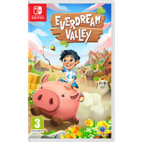 Everdream Valley Switch 