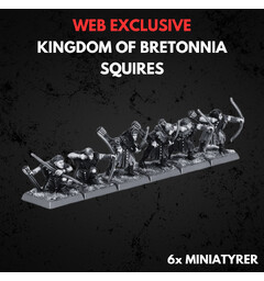 Kingdom of Bretonnia Squires Warhammer The Old World