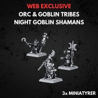 Orc & Goblin Tribes Night Goblin Shamans Warhammer The Old World