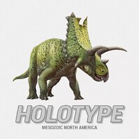 Holotype Brädspel Mesozoic North America