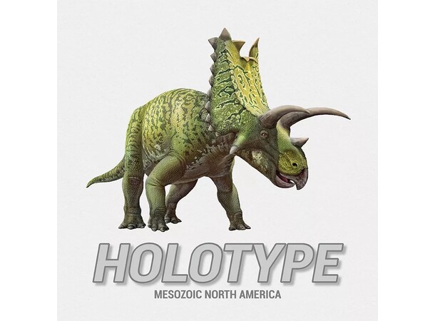 Holotype Brädspel Mesozoic North America 
