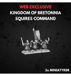 Kingdom of Bretonnia Squires Command Warhammer The Old World
