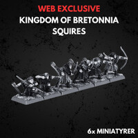 Kingdom of Bretonnia Squires Command Warhammer The Old World