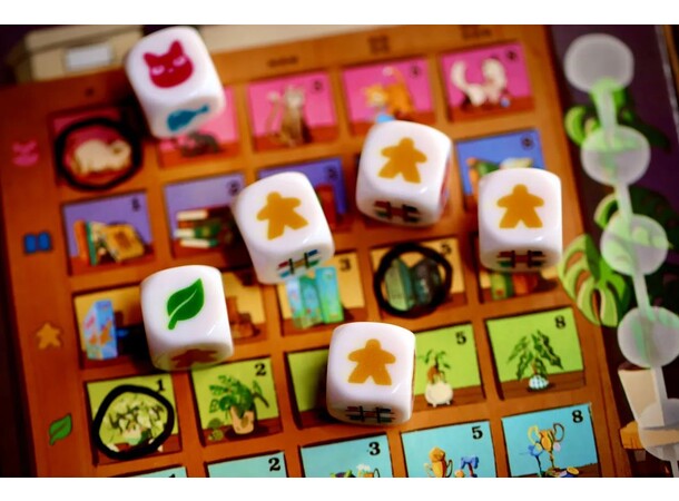 My Shelfie The Dice Game Terningspill 