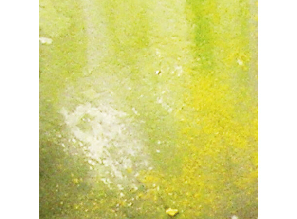 Vallejo Environment Slimy Grime Light Weathering Effects - Acrylic - 40ml 