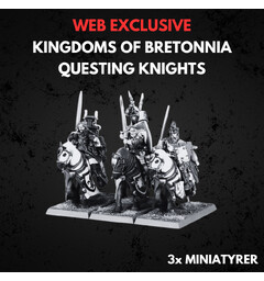 Kingdom of Bretonnia Questing Knights Warhammer The Old World
