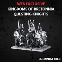 Kingdom of Bretonnia Questing Knights Warhammer The Old World