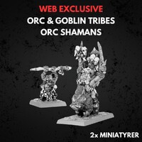 Orc & Goblin Tribes Orc Shamans Warhammer The Old World