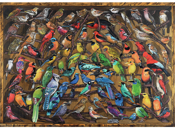 Rainbow of Birds 1000 bitar Pussel Ravensburger Puzzle 